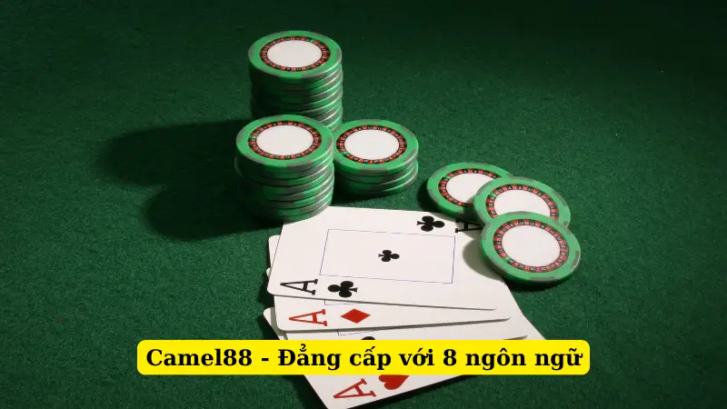 Camel88 - Đẳng cấp với 8 ngôn ngữ